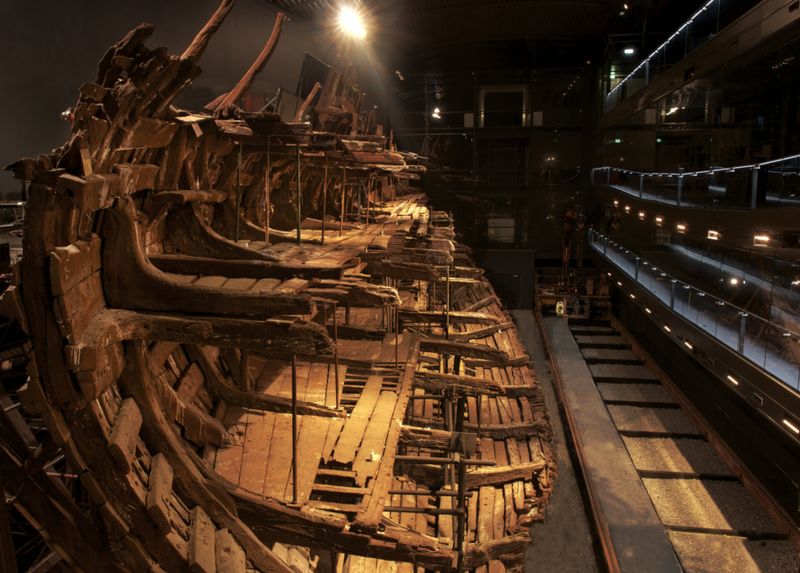 Mary Rose shipwreck skulls go online in 3D - BBC News