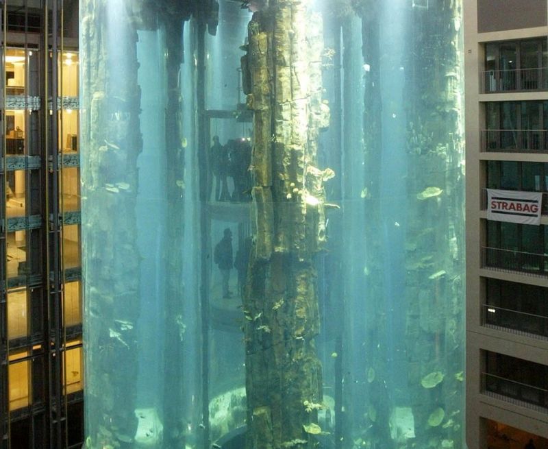 Berlin's giant AquaDom hotel aquarium containing 1,500 fish explodes