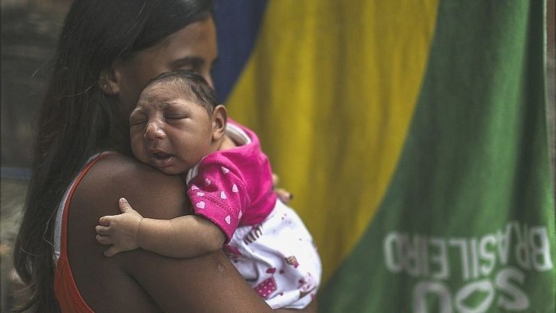 Zika virus may be one step away from explosive outbreak - BBC News