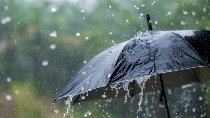 petrichor-why-does-it-smell-after-it-rains-bbc-newsround