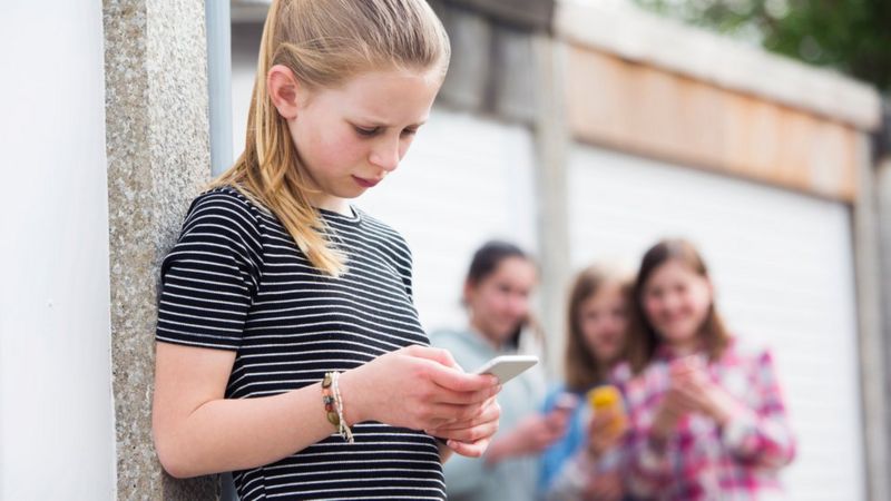 Dictionaries redefine bullying victims after campaign - BBC News