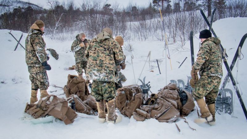 Fighting in the freezer: Royal Marines train US Marines in Arctic ...