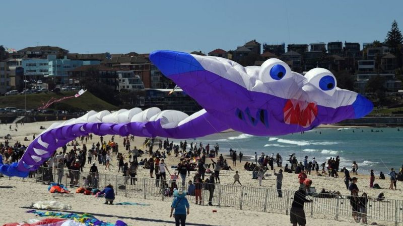 Festival of the Winds: Amazing kites at Australian festival - BBC Newsround