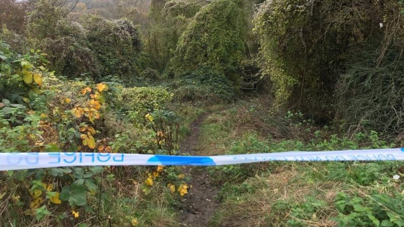 Human Remains Found In South Bristol Woodland - BBC News