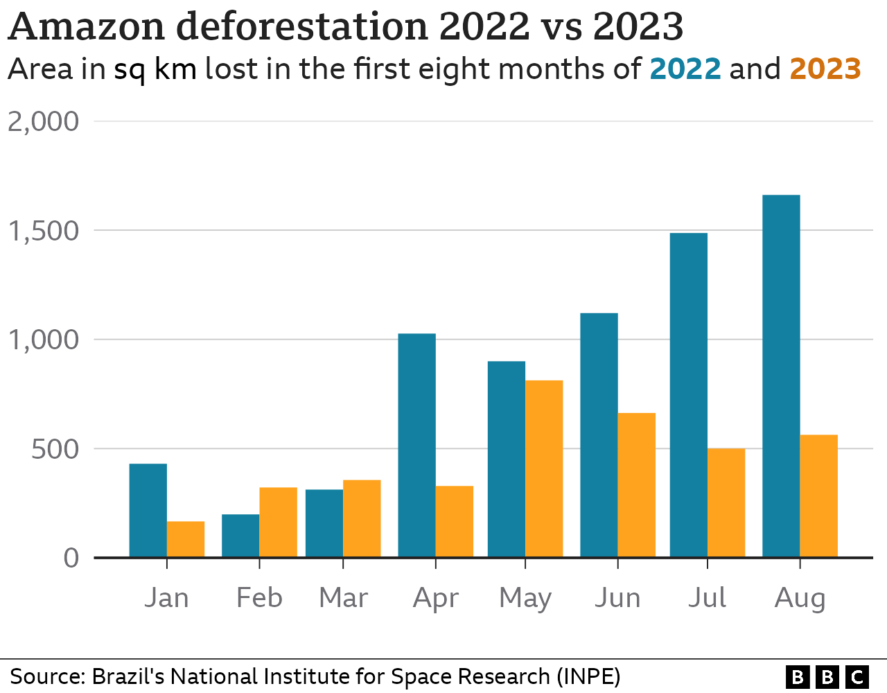 Amazon Rainforest Deforestation Rate Continues To Fall BBC News