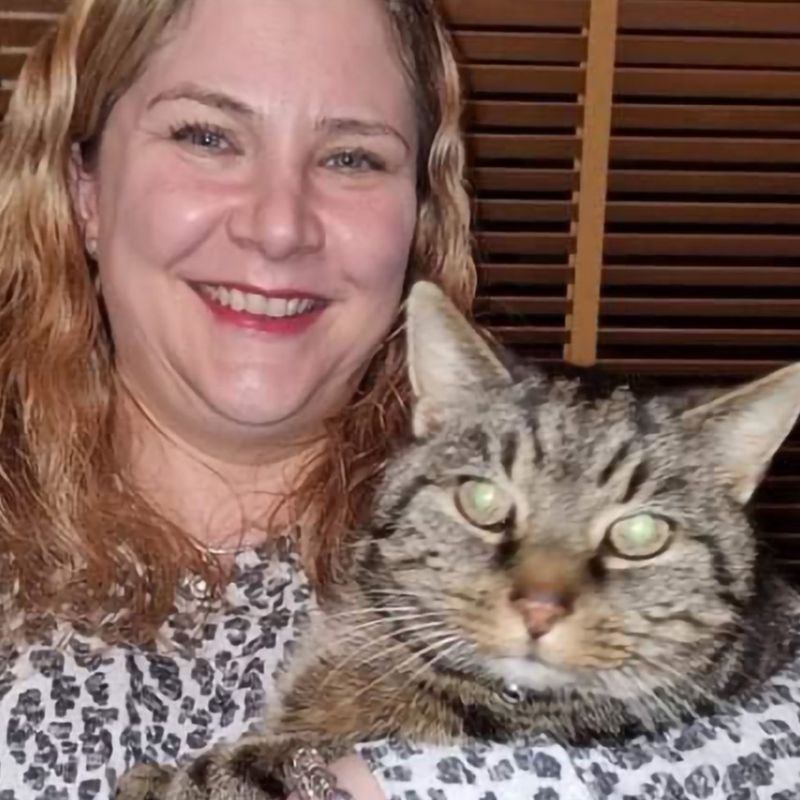 Pet cat missing for 11 years reunited with owners BBC News(02)