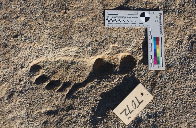 Huella encontrada en Nuevo México, Estados Unidos, de entre 23.000 y 21.000 años atrás.