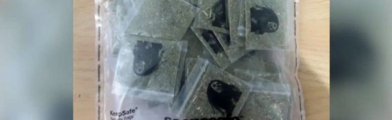 Times Square car crash driver Richard Rojas 'heard voices' - BBC News