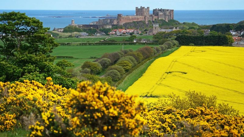 Bamburgh Castle, Northumberland