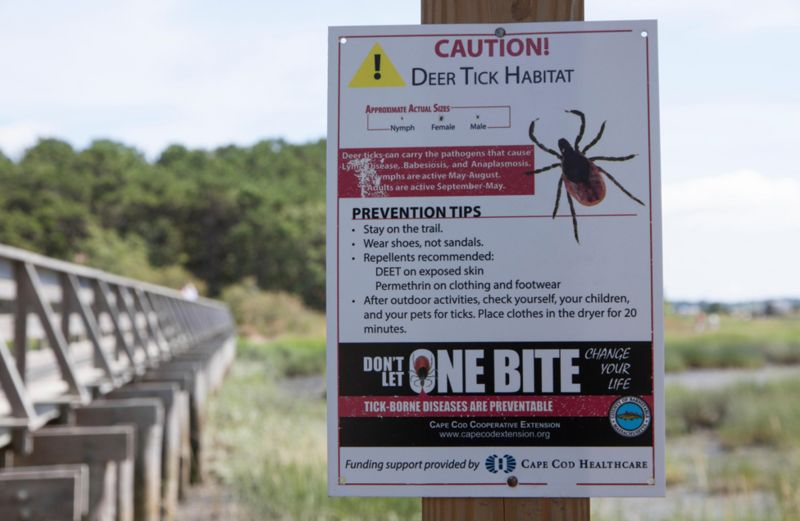 Chronic Lyme Disease Controversy