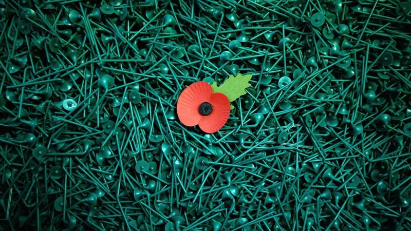 Remembrance Day: Why Do People Wear Poppies? - BBC Newsround