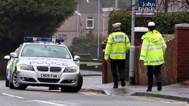 Swansea woman dies after car falls on her in driveway - BBC News