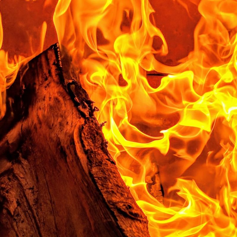 Your pictures on the theme of 'warmth' - BBC News
