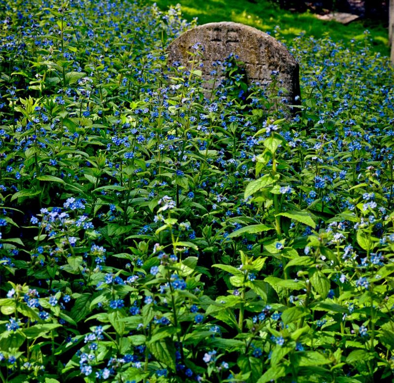 Remembering the Jewish dead BBC News