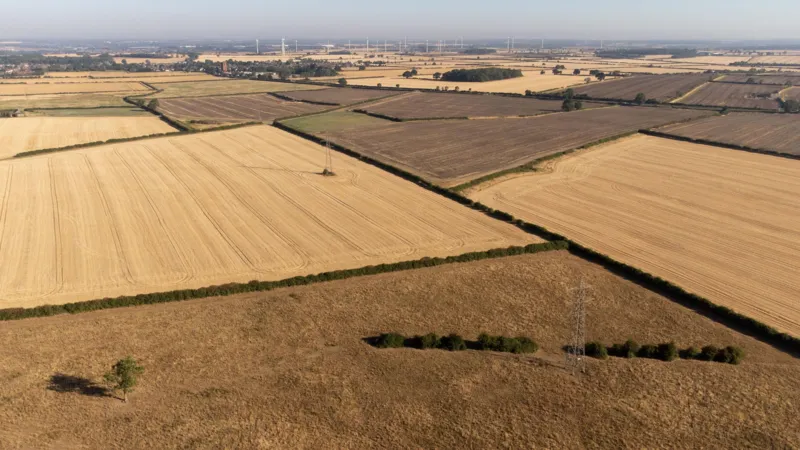 El líder del sindicato de agricultores afirma que una sequía prolongada podría provocar escasez de algunos alimentos.