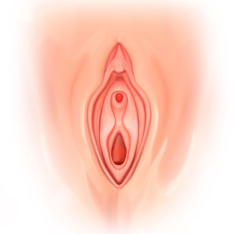 cáncer de vulva