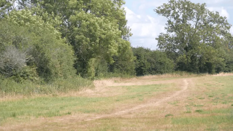 El plan de construcción en zonas verdes necesita ser replanteado – Hillingdon
