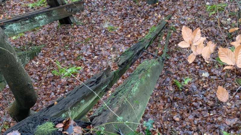 Las vigas del camino deben revisarse un año después de detectarse el daño.