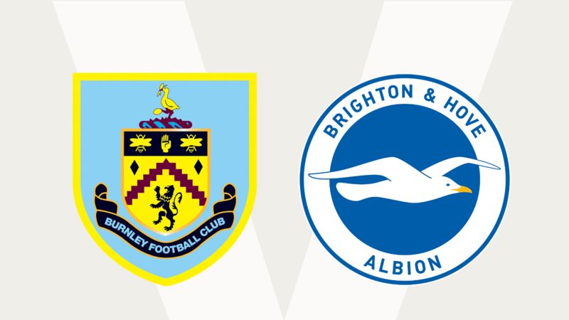 Burnley V Brighton: Who Makes Your Seagulls Team? - BBC Sport