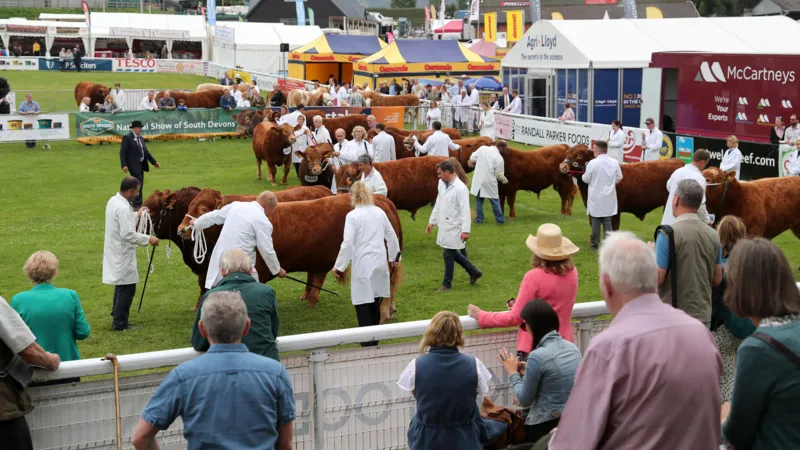 Un controvertido plan de subvenciones agrícolas recibe un presupuesto de mil millones de libras.