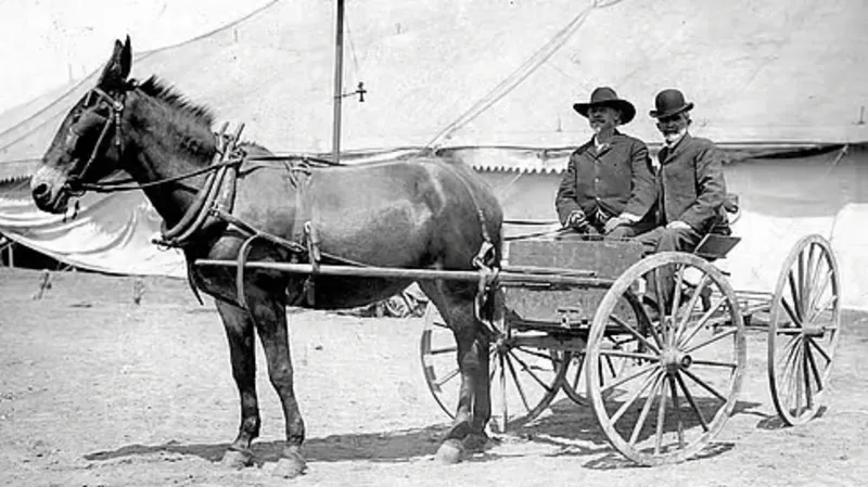 El hombre de confianza de Buffalo Bill y su orgullosa ascendencia galesa.