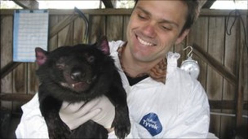 Vaccine hope Tasmanian Devil dies from cancer - BBC News