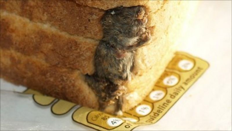 firm-fined-after-dead-mouse-found-in-loaf-of-bread-bbc-news