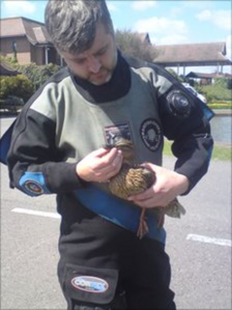 Sussex animal rescue worker to receive award BBC News
