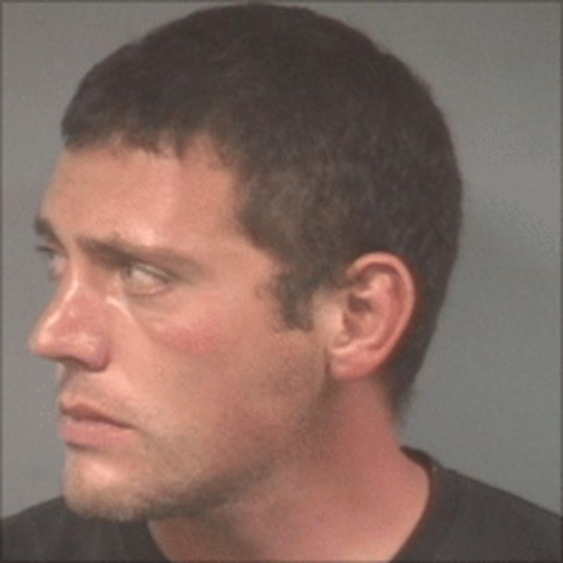 Drinkdriver jailed for Bestival music fan death BBC News