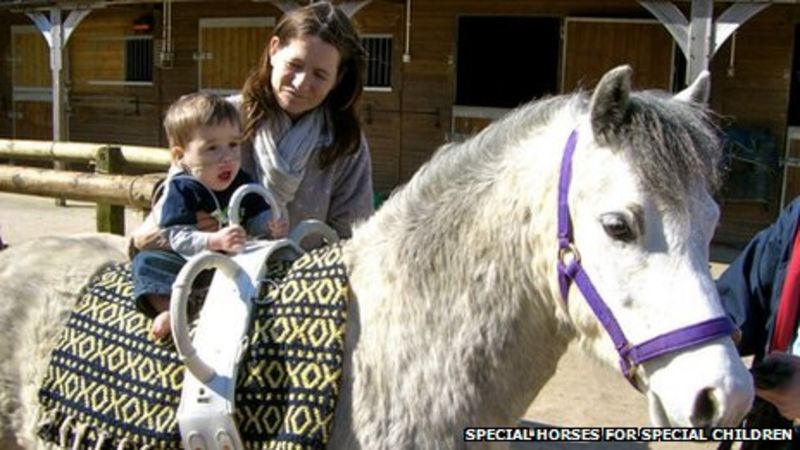 Equine therapy certification online picture