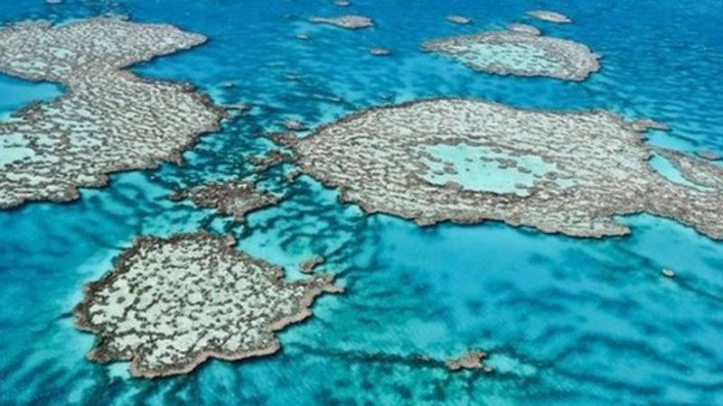 Australia Great Barrier Reef outlook 'poor and deteriorating' - BBC News