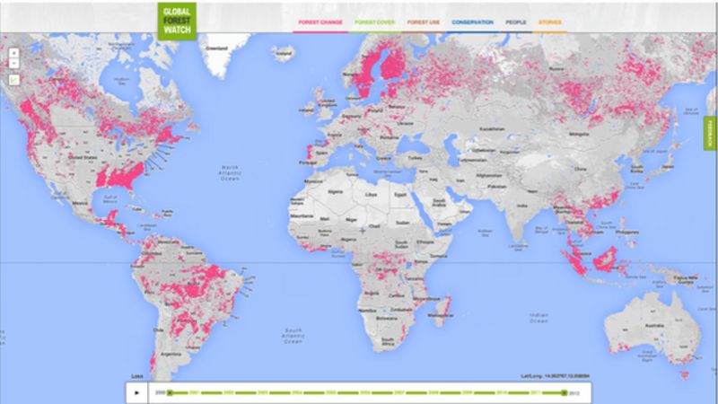 New online tool tracks tree loss in 'near real time' - BBC News