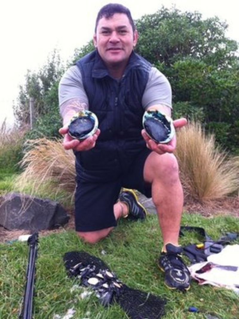 Why abalone is New Zealand's catch of the day BBC News