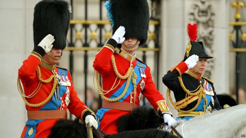 In Pictures Trooping The Colour Bbc News 5892