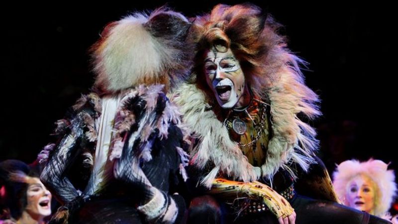 Cats musical to feature rapping cat - BBC News