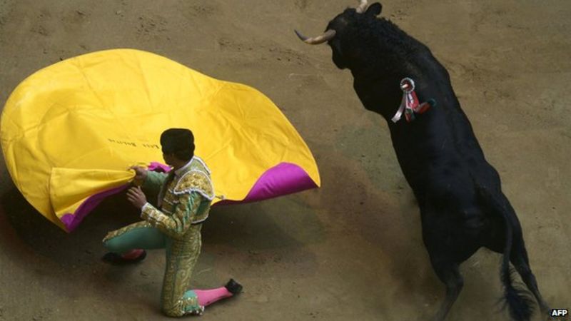 Colombia Bogota Bullfighters Stage Hunger Strike Bbc News