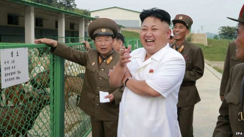 North Korean leader Kim Jong-un 'has illness' - BBC News