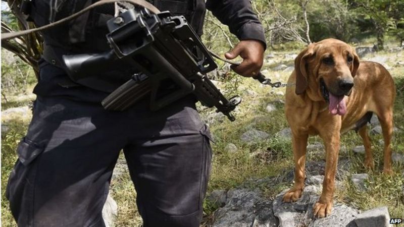 Mexico offers rewards for information on missing students - BBC News