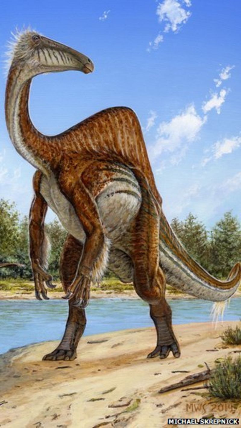 Mystery of dinosaur with giant arms solved - BBC News