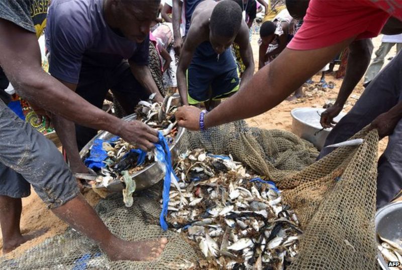 Ivory Coast tackling its toxic mobile waste problem BBC News