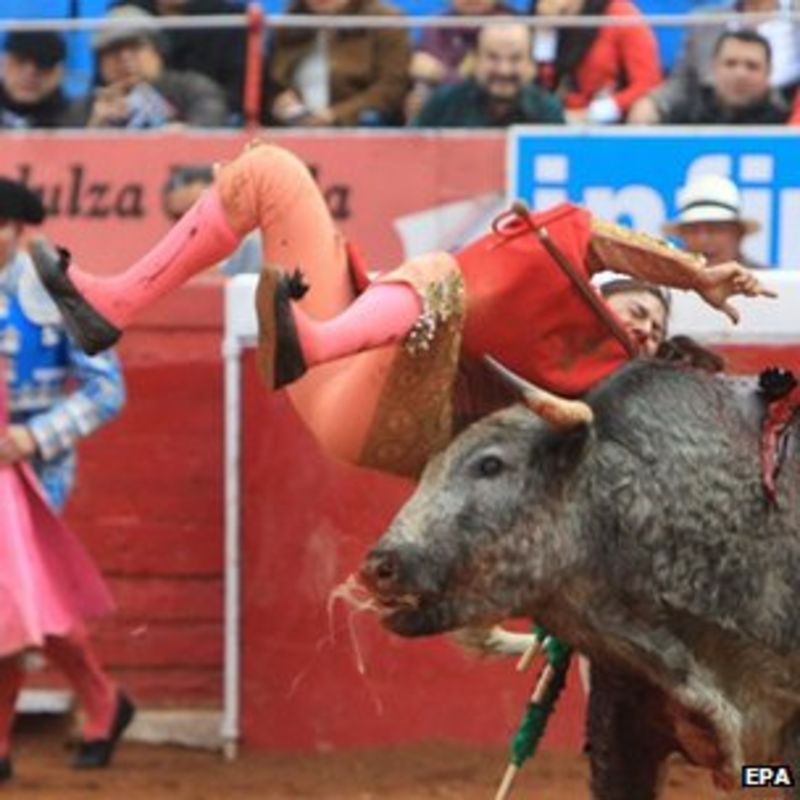 mexican-female-bullfighter-karla-de-los-angeles-gored-bbc-news