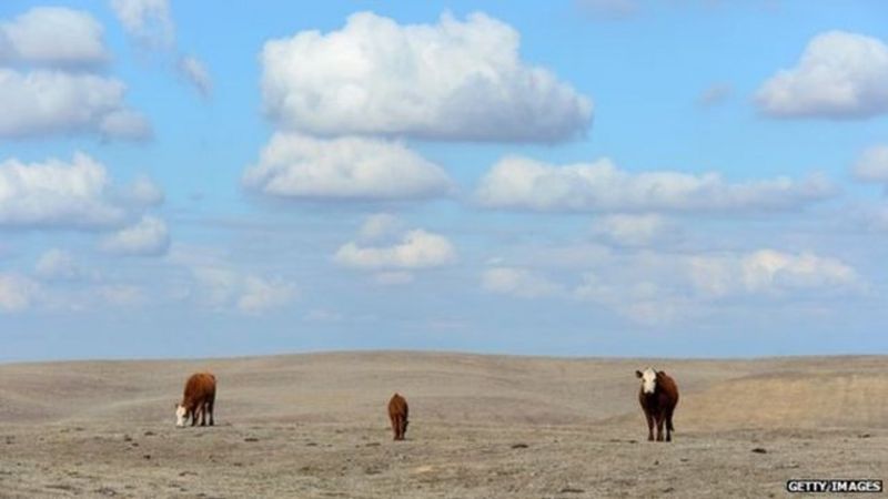 Why California's Storm Is Unlikely To Reverse Its Drought - BBC News