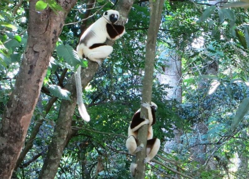 Madagascar