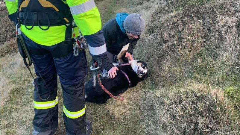 Dan the dog and his owner after being rescued