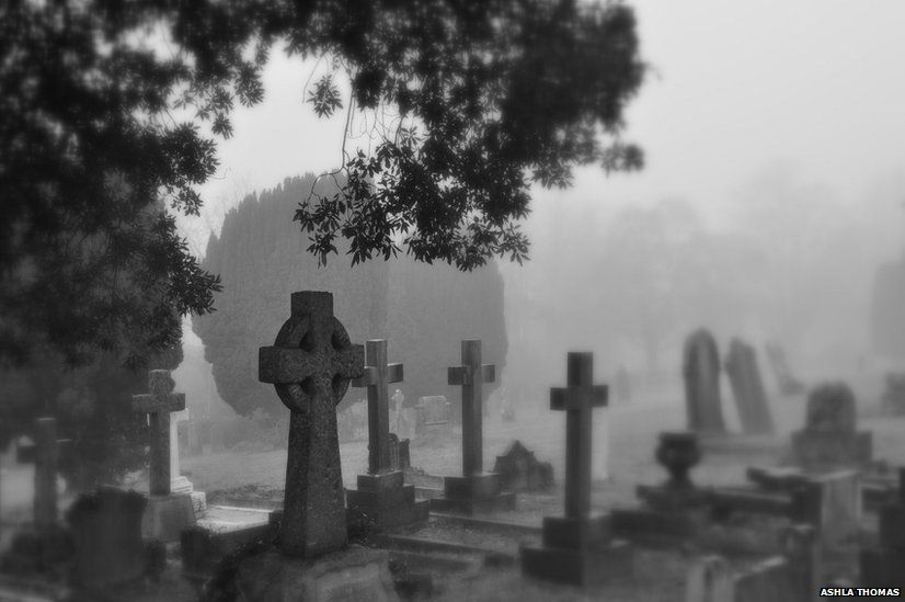 Mist-covered cemetery