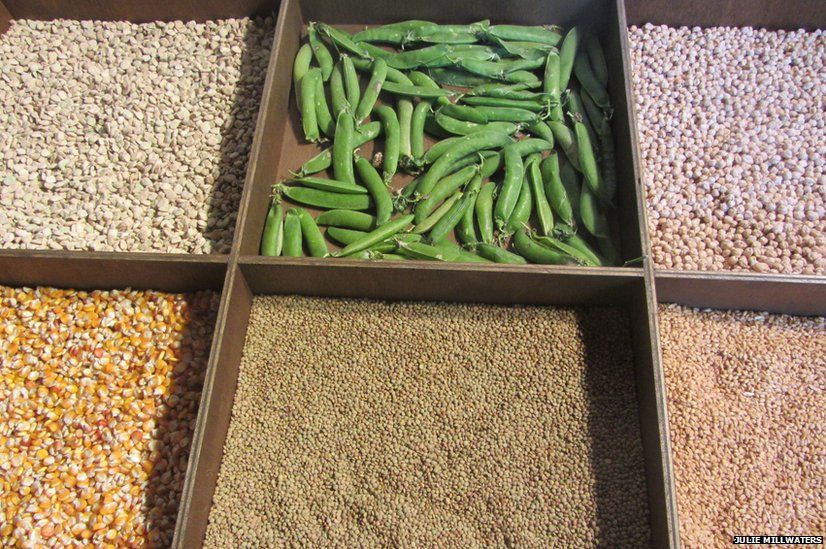 Beans in squares