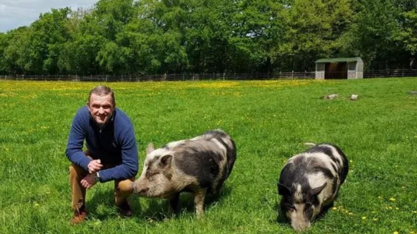 Mr Hodges wearing a blue jumper and brown trousers kneeling down in a field beside two large pigs