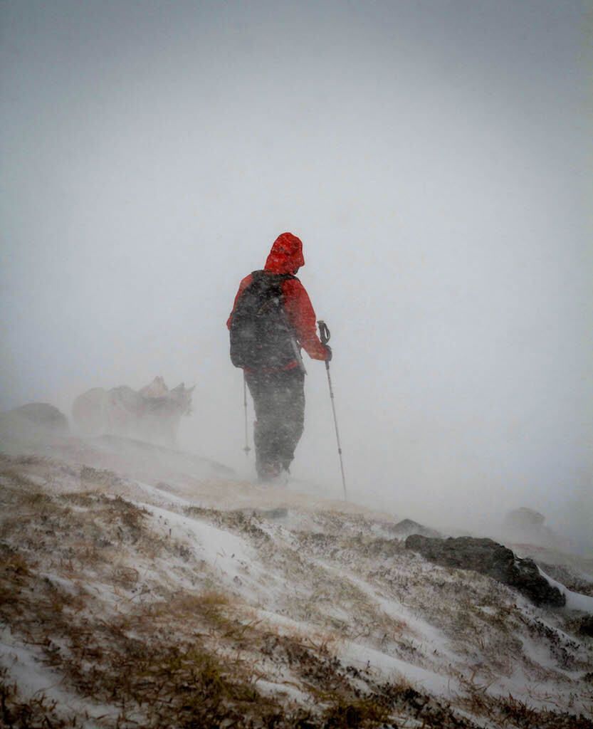 A walker and dogs in snow and wind in Southern Cairngorms
