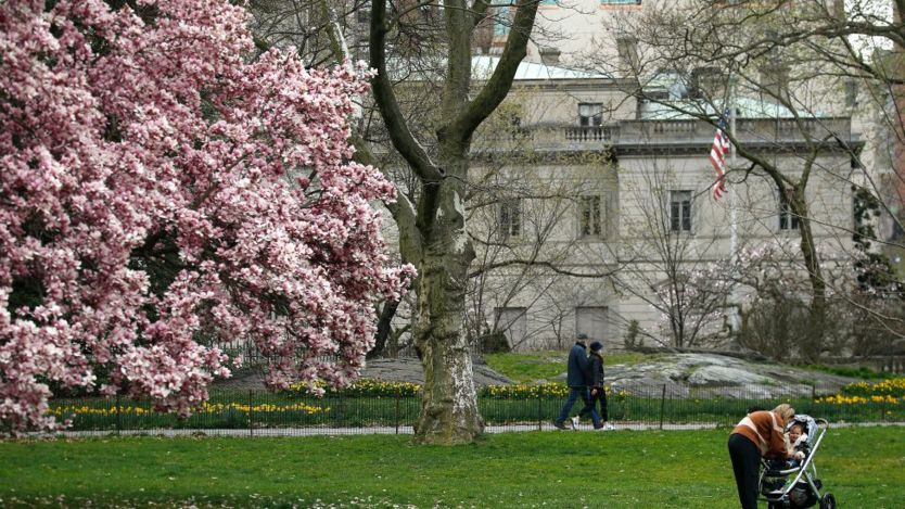 một bà mẹ đưa con ra công viên Central Park ở thành phố New York
