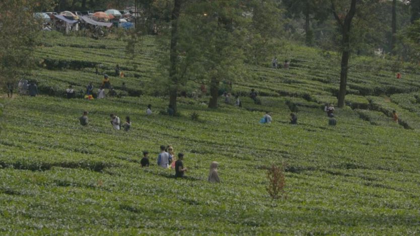 wisata